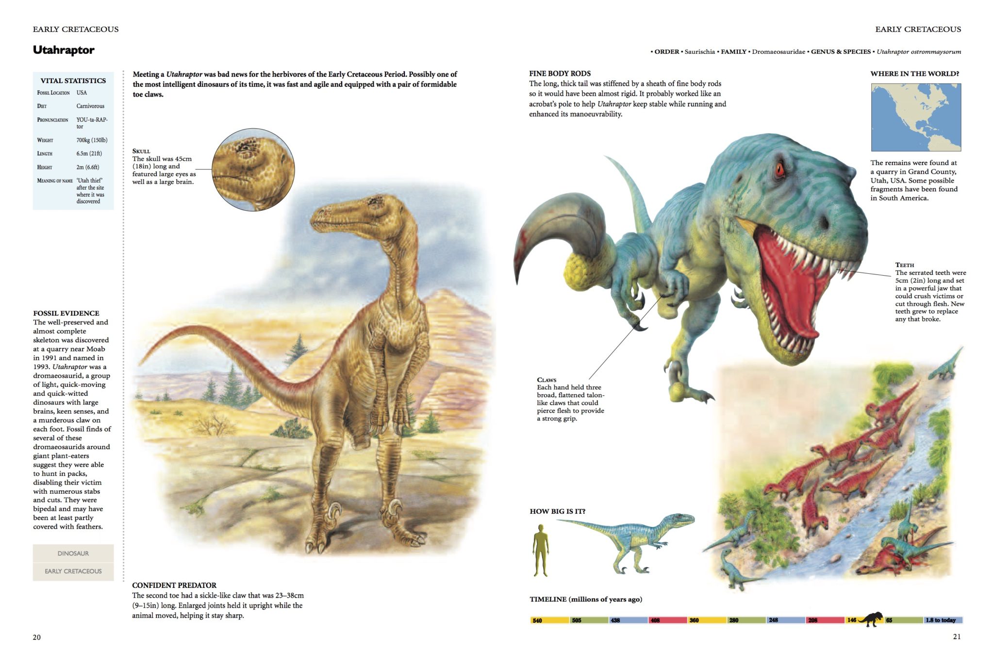 pictures of meat eating dinosaurs