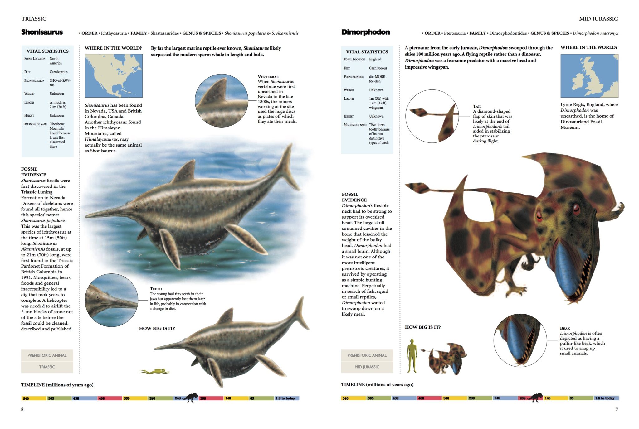 complete illustrated encyclopedia of dinosaurs & prehistoric creatures