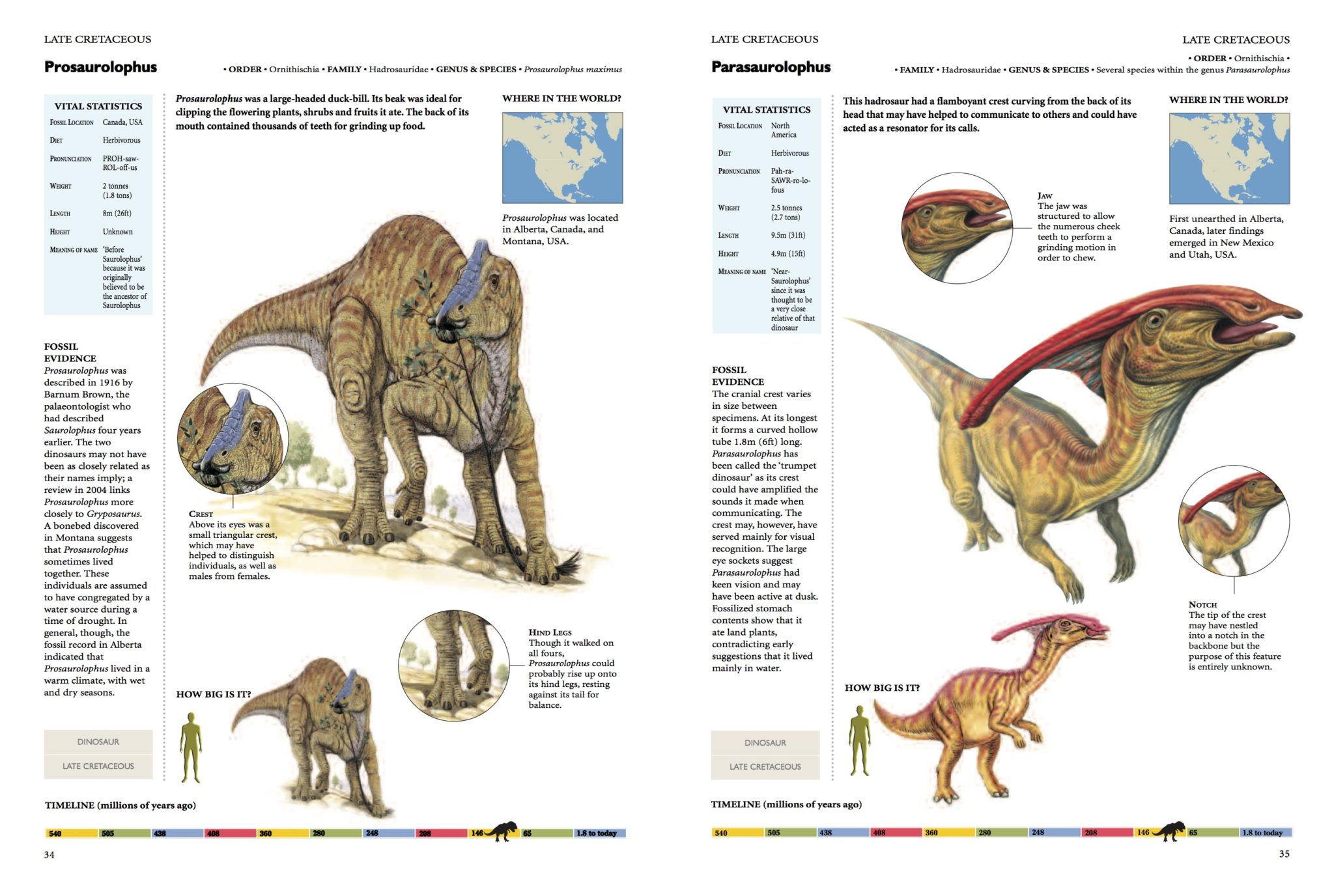 dinosaurs that dont eat meat