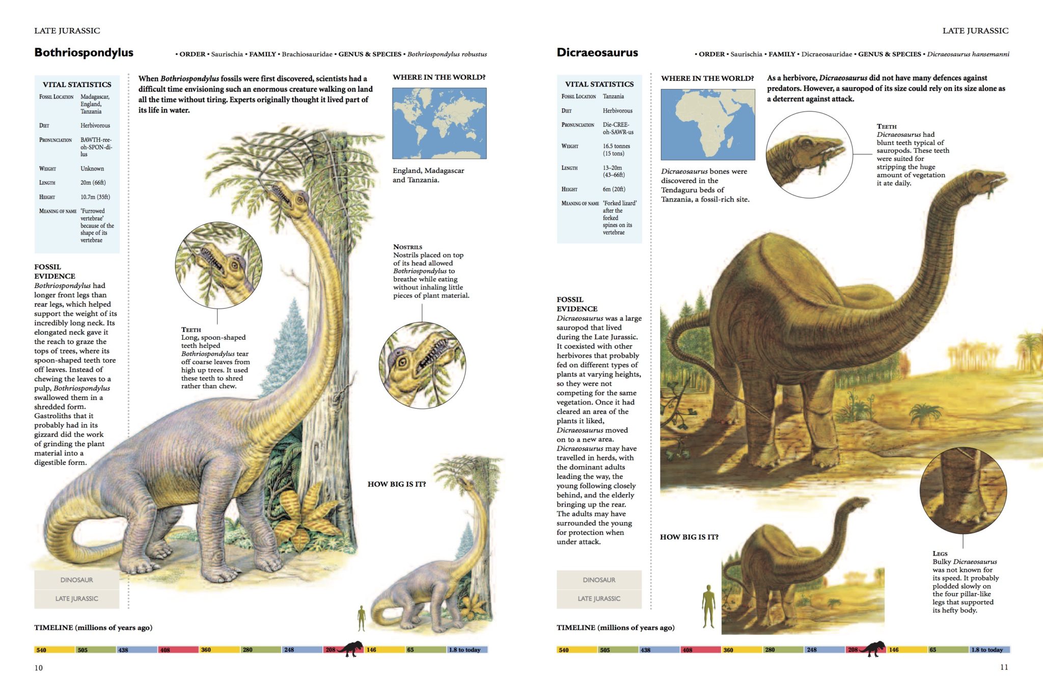 plant eating dinosaurs called