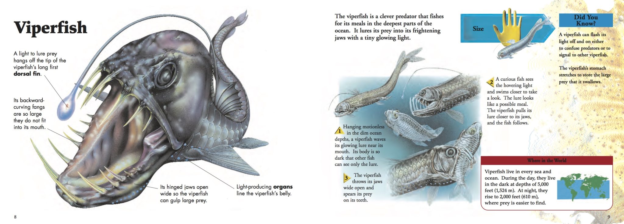 Nature's Monsters: Fierce Water Creatures - Amber Books