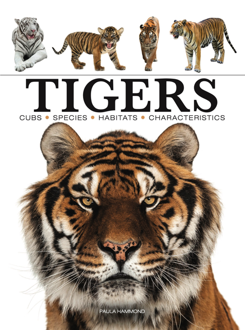 Tigers cover image