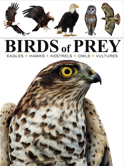 Birds of prey book jacket