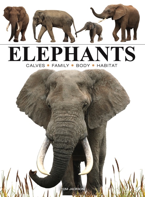 Elephants by Tom Jackson book cover