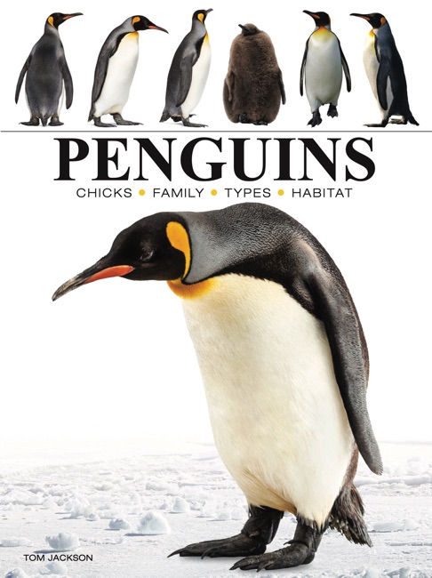 Penguins by Tom Jackson book cover