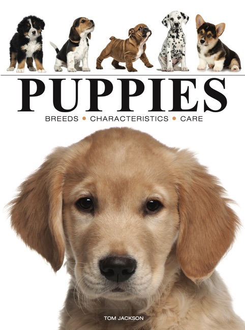 Puppies book cover