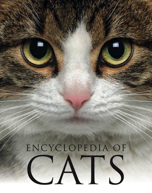 Encyclopedia of Cats cover image